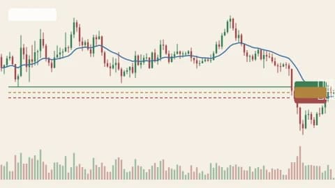 SOLUSDT 1d chart