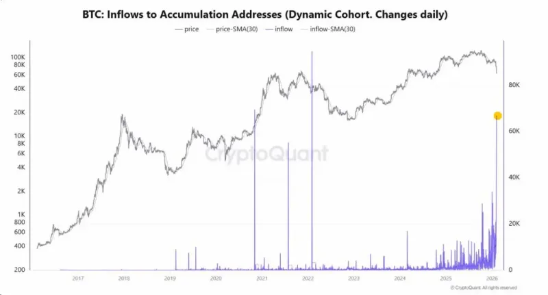 ✴️ Bitcoin Whales Are Accumulating the Dip