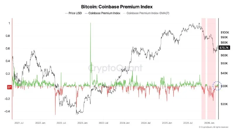 Bitcoin's Quiet War: On-Chain Whales vs. US Retail