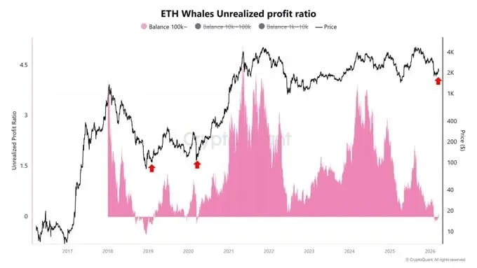 ETH Whale Profits Signal a Bottom: My Trade Plan for 2026