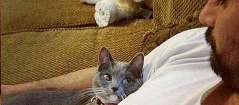 Global Crisis Talk is Noise. Here's How I'm Trading BTC.