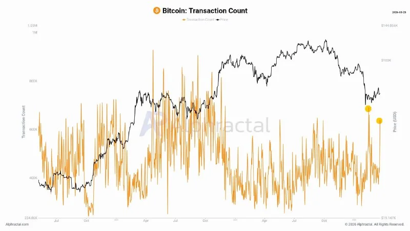 Bitcoin Whales Are Back: My BTC Price Target This Week