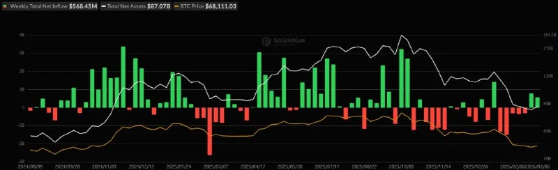BTC ETF Inflows Continue, But Is Solana the Real Story?