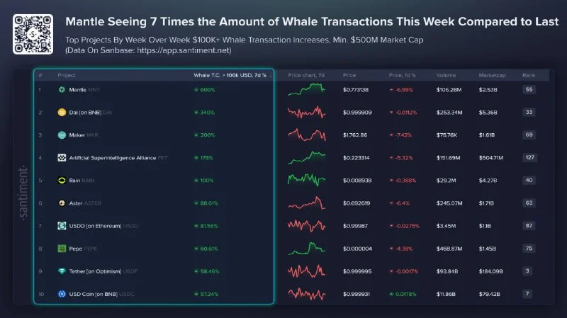 Whale Watching: The Crypto Tokens They're Buying Now