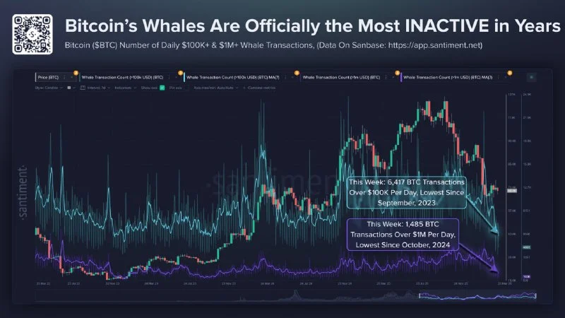 BTC Whales Are Sleeping: Why This Calm Is Deceptive 2026