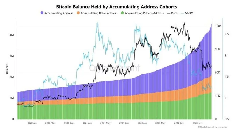 Bitcoin Whales Are Buying: My On-Chain Analysis 2026