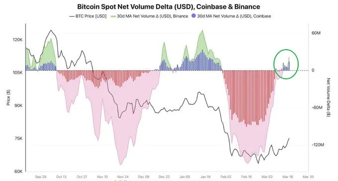 BTC Net-Purchases: My DeFi Yield vs. Spot BTC Bet 2026