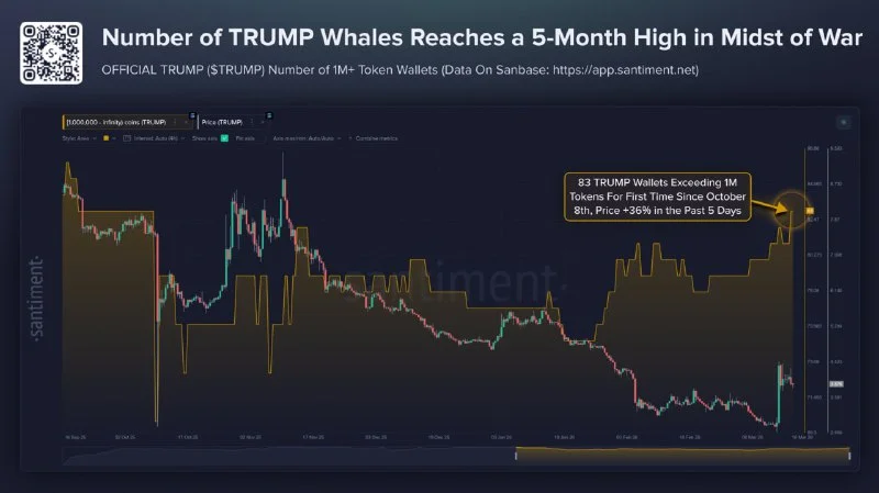 TRUMP Whale Count & The Prop Firm Trap (2026)