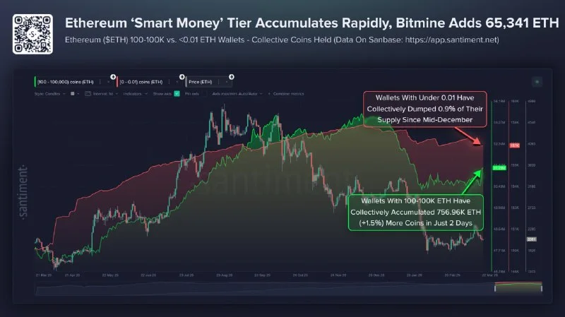 ETH Whales Are Buying, But You're Missing the Point 2026