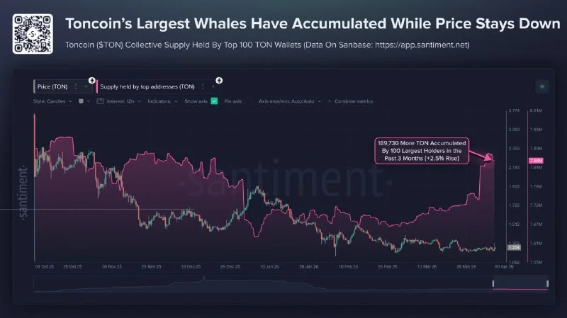 TON Whale Buying? My Charts Show a Classic Bull Trap