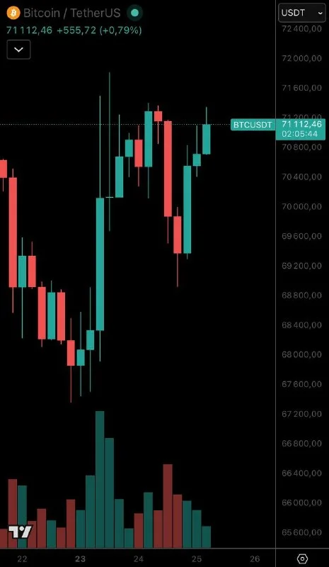 Bitcoin Rises: Geopolitical Noise or Real Strength? March 2026
