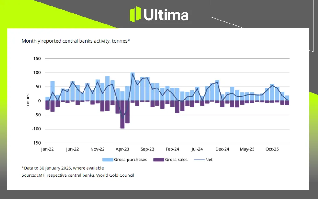 Central Bank Gold Activity | Source: World Gold Council